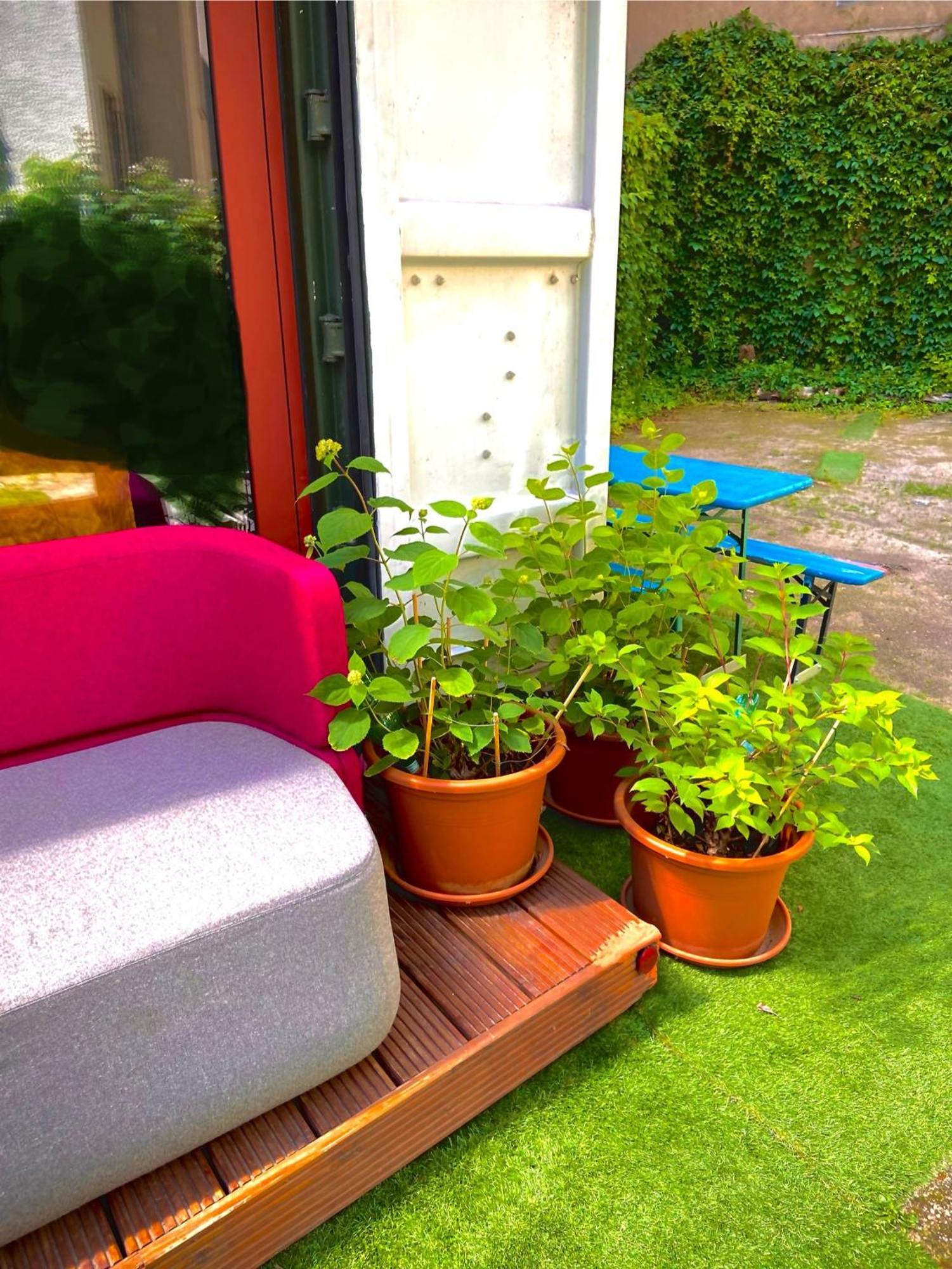 Inner Tiny House *
